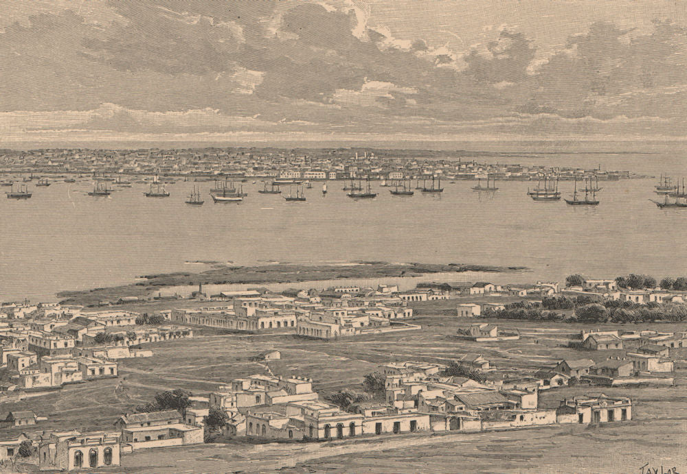 Montevideo - General view from the Cerro. Uruguay 1885 old antique print